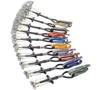 Flexor 1 Cam