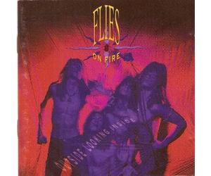 Flies on Fire - Outside Looking Inside