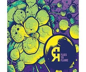 Flies to Flame by Rosetta