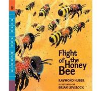 Flight of the Honey Bee: Read and Wonder