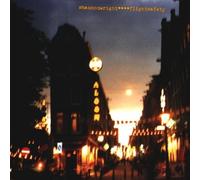 Flightsafety by SHANNON WRIGHT (1999-04-20)