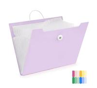 Flintronic Dossier Accordéon, Trieur Format A4 avec 12 Compartiments et Étiquettes, Pochette à Documents en PP, Dossier Extensible, Léger et Portable, Résistant à l'Eau, pour Scolaire, Bureau, Maison