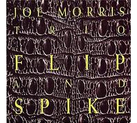 Flip & Spike [DE Import]