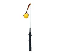 Flirt Pole Bâton de flirt interactif pour chiens - Jouet d'exercice interactif pour chiot à tirer à la guerre, bâton d'entraînement pour animaux de compagnie pour pelouse et jardin