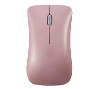Flisdtry Souris Bluetooth 5.0/3.0 + 2,4 G - Mode ultra fin en alliage d' (Queen )