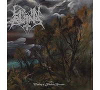 Floating in Timeless Streams