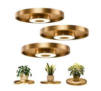 Floating Shelf with Lights Built In, Floating Wall Shelf with Built-in Ambient LED Light, LED Shelves, Wall Mounted Floating Shelves with Lights, Modern Space-Saving Display Rack for Home Decor (3Pcs)