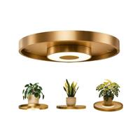 Floating Shelf with Lights Built In, Floating Wall Shelf with Built-in Ambient LED Light, LED Shelves, Wall Mounted Floating Shelves with Lights, Modern Space-Saving Display Rack for Home Decor (1Pc)
