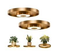 Floating Shelf with Lights Built In, Floating Wall Shelf with Built-in Ambient LED Light, LED Shelves, Wall Mounted Floating Shelves with Lights, Modern Space-Saving Display Rack for Home Decor (2Pcs)