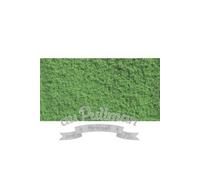 Noch Flocage 07202 vert clair 20 g