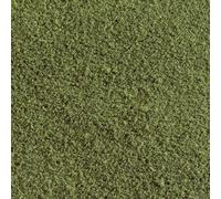 Flocage mauvaise herbe Woodland Scenics WT46 vert canabis 50 g