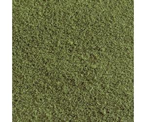 Flocage mauvaise herbe Woodland Scenics WT46 vert canabis 50 g