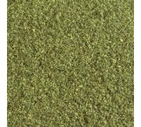 Flocage prairie Woodland Scenics WT49 prairie 1 pc(s)