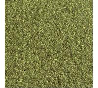 Woodland Scenics – Flocage de prairie WT49 – 1 pièce