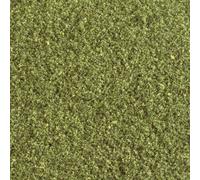 Flocage prairie Woodland Scenics WT49 prairie 1 pc(s)