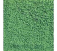 Flocage Vert Clair Noch-Noch