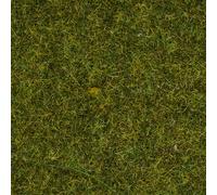 Flocages herbe sauvage "prairie" 9 mm 50g - NOCH 07117