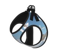 Flock Of Birds Ensemble harnais réfléchissant réglable pour chats, chiens et petits animaux de compagnie, gilet de marche en maille douce et respirante avec laisse anti-fuite