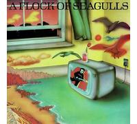 A Flock of Seagulls