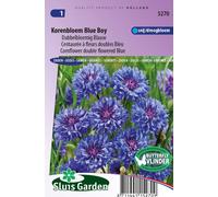 Flocon double Blue Boy - Graines de fleurs annuelles - Env. 1 g | SG5270