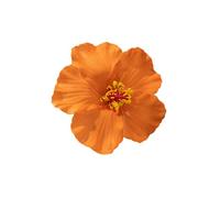 Floerns Pince à Cheveux Fleur Hawaïenne Artificielle Hibiscus Accessoires D'été Orange Taille Unique