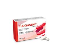Flogasine Nalkein 20 Comprimés