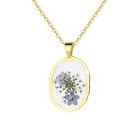Flongo Collier de Fleurs Pressées Femme: Collier Ne m'Oublie Pas en Acier Inoxydable avec Pendentif Fleur Ovale-Bijoux Commémoratifs