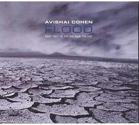 Cohen, Avishai - Flood