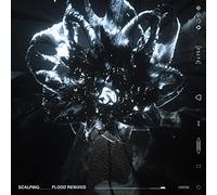 Flood Remixed