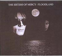 Floodland