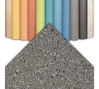 Floordirekt | Revêtement de Sol CV Xtreme - Revêtement de Sol en PVC résistant à l'abrasion - Plusieurs Couleurs | 200 x 600 cm, Xtreme | Mira 690 d