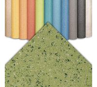 Floordirekt | Revêtement de Sol CV Xtreme - Revêtement de Sol en PVC résistant à l'abrasion - Plusieurs Couleurs | 200 x 100 cm, Xtreme | Mira 550 m