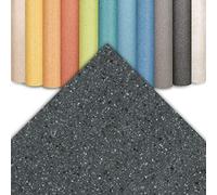 Floordirekt | Revêtement de Sol CV Xtreme - Revêtement de Sol en PVC résistant à l'abrasion - Plusieurs Couleurs | 200 x 200 cm, Xtreme | Mira 990 d