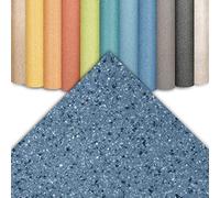 Floordirekt | Revêtement de Sol CV Xtreme - Revêtement de Sol en PVC résistant à l'abrasion - Plusieurs Couleurs | 200 x 200 cm, Xtreme | Mira 770 m