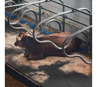 Floordirekt Tapis d'écurie en caoutchouc pour élevage d'animaux - Tapis de sol paddock - Protège les articulations - Résistant aux intempéries et facile à nettoyer - Tapis de sol antidérapant à picots