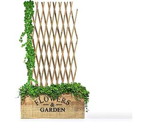 Floordirekt | Treillis en Bambou pour Les Plantes grimpantes - Extensible - Résistant aux intempéries et Durable - Ideal pour Les Jardins, Les clôtures, la décoration | 60 x 180 cm