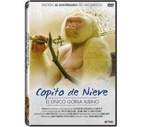 Floquet de Neu (Copito de nieve) (COPITO DE NIEVE) G