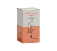 Flor de Tisana Infusion Gingembre Orange et Cannelle, 4 Boîtes de 20 Sachets Pyramide, Sans Plastique