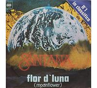 Flor D'Luna (Moonflower)