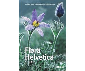 Flora Helvetica - Flore illustrée de Suisse: avec 3250 descriptions de plantes à fleurs, de fougères et de plantes cultivées, avec cartes de distribution