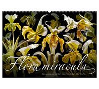 Flora miracula - Die wundersame Welt des Fotografen Olaf Bruhn (Wandkalender 2026 DIN A2 quer), CALVENDO Monatskalender: Einer der wohl ... vom Fotografen und Grafik-Designer Olaf Bruhn