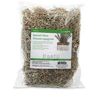 FloraCraft Art Craft, Autres, Marron, 56,7 g
