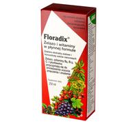 FLORADIX fer + vitamines tonique 250 ml Fer et vitamines en formule liquide