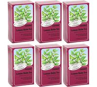 Floradix - Infusion citron Lemon Balm bio 15 sachets (lot de 6)