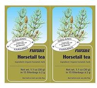 Floradix Tisane Prêle Bio 15 Sachets Lot de 2