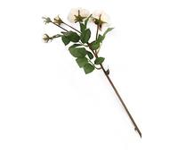 Floral Elegance Lot de 12 Roses artificielles à Tige Unique Ivoire et Rose 87 cm