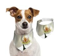Floral Fleurs Blanches Orchidée Élégant Moderne Tendance,Bavoir pour animaux de compagnie, écharpe, bandana pour chats et chiens, serviette pour chiens, écharpe réglable pour animaux de compagnie,M