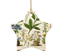 Floral in the Old Book - Ensemble de breloques en céramique avec pendentif en forme d'étoile - Ornements de Noël faits à la main, ficelle dorée pour une suspension facile, pour les mariages, les