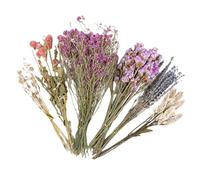 Floral Liberte - Décoration en Cage, litière Florale Naturelle du, literie Gerbil mélange de Foin, litière Petite Animale avec mélange botanique | Literie écologique pour Les Hamsters