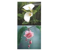 Floral Wall Calendar - 2026 Year Planner | Monthly Date Display with Botanical Artwork, Home Office Scheduling Tool, Wall Hanging Planner, Seasonal Flower Theme Walls Hanging Calendar